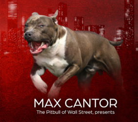 The Book of the Underdog by Max Cantor